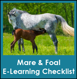 Mare & Foal E-Learning Checklist